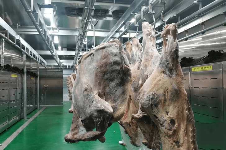 建一個(gè)3000噸羊肉冷庫需要多少錢